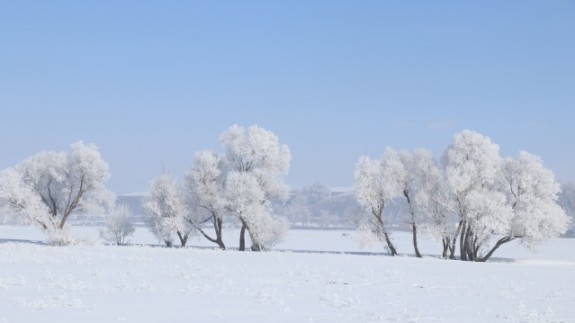 Ağrı'da dondurucu soğuklar martta da etkisini sürdürüyor