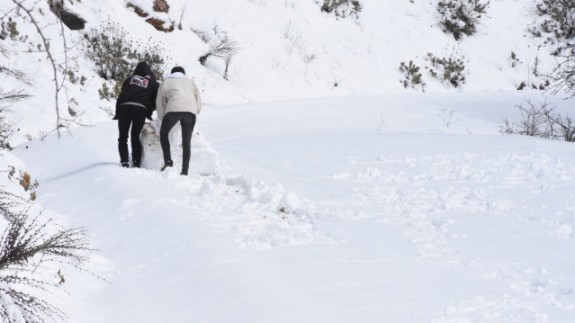 Muğla'nın yüksek kesimlerine kar yağdı