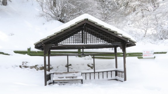 Türkiye'nin ilk milli parkı Çamlık Milli Parkı'nda kar yağışı