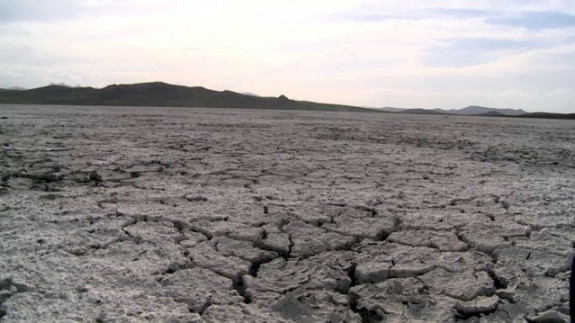 Van'ın kuş cenneti Akgöl tamamen kurudu
