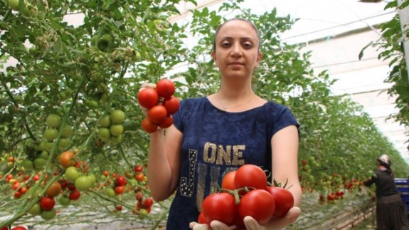 Topraksız tarım,  kadınlara iş kapısı oldu