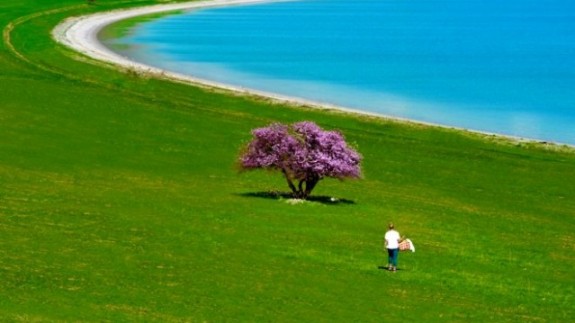 Van’ın el değmemiş adası Çarpanak bahar aylarında görenleri büyülüyor