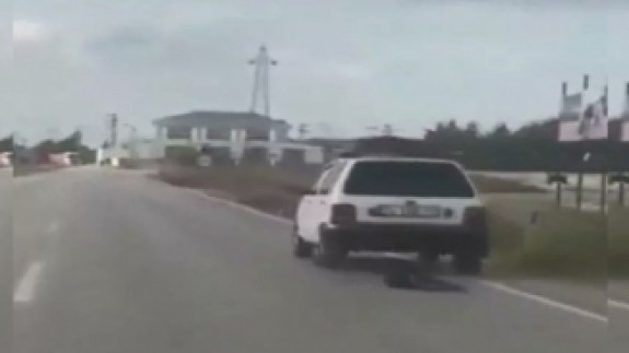 İstanbul'da dehşete düşüren görüntü: Köpeği aracının arkasına bağlayıp sürükledi