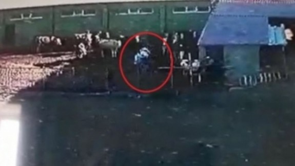 Öfkeli boğa saldırısı kamerada: Hacı Salih Genç öldü