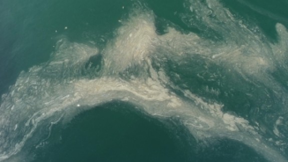 Tekirdağ sahilinde 'deniz salyası' nedeniyle suda beyaz tabaka oluştu