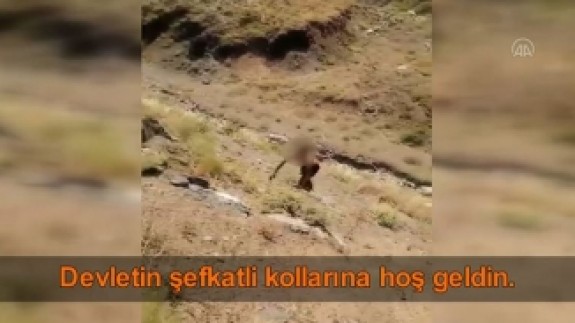 Hakkari'de bir teröristin teslim olma anı kameralara yansıdı