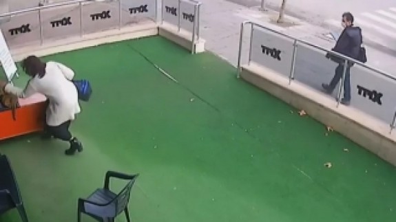 Ankara'da hamile kediye şiddet: Uyurken saldırdı,  çanta fırlattı