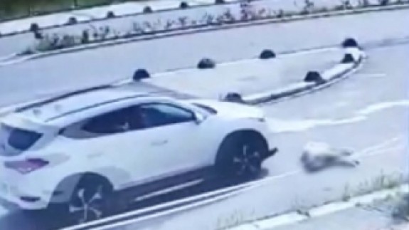 Arabasıyla köpeği ezip kaçan Doç. Dr. Birsen Ocaklı hakkında suç duyurusu!