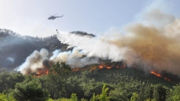 Milas’ta orman yangını