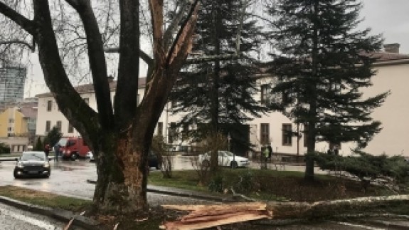 TBMM bahçesine yıldırım düştü