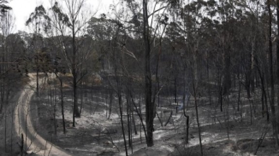 Avustralya'da Yangından Kaçan Binlerce Kişi Deniz Kenarlarına Sığındı