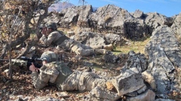 Bitlis ve Siirt'te 'Kıran-8 Sehi Ormanları Operasyonu' Başladı