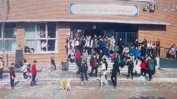 Okul bahçesinde köpek dehşeti: 5 öğrenciyi ve 1 öğretmeni ısırdı