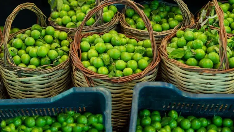 Yeşil eriğin tane fiyatı 'yok artık' dedirtti