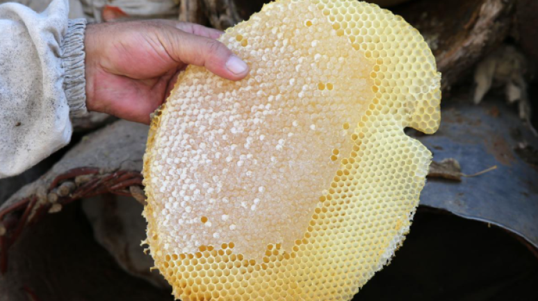 "Bitlis balı" tescillendi