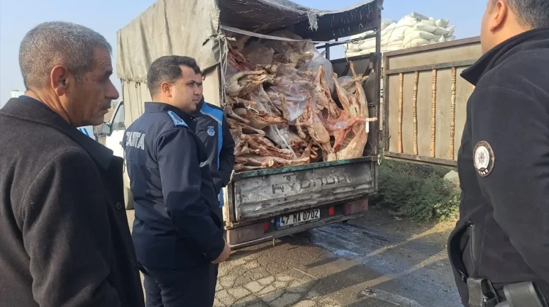 Böylesi görülmedi! Tamı tamına 1 ton 900 kilo: Yakalanmasalar hepsini vatandaşa yedireceklerdi