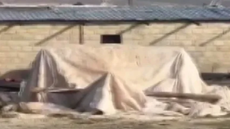 Şanlıurfa’da ahırda öyle bir şey bulundu ki.. Kimse tahmin edemezdi