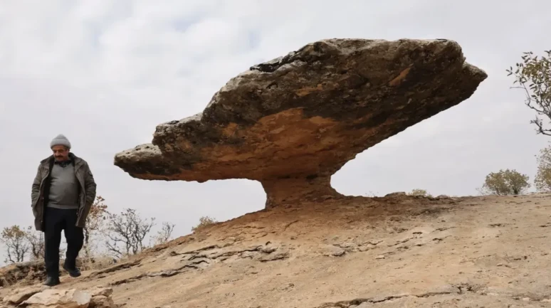 Diyarbakır’da Buzul Çağı'ndan kalan kaya hâlâ hareket ediyor