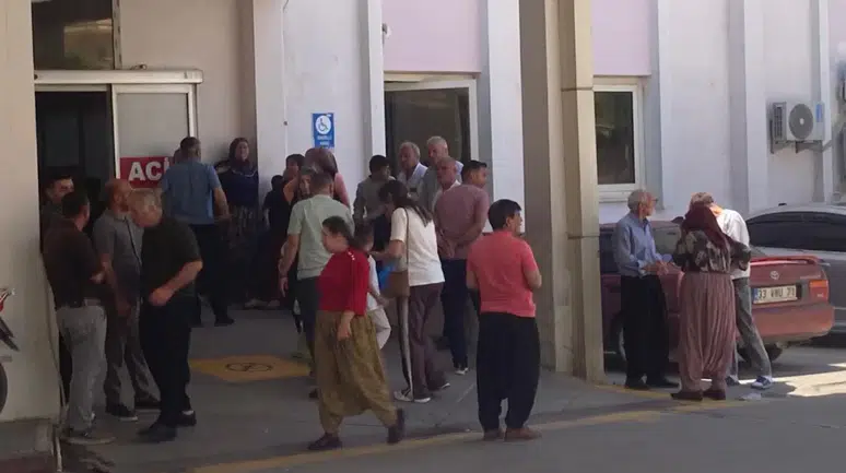 Mersin'de topladıkları mantarı tüketen 7 kişi hastanelik oldu