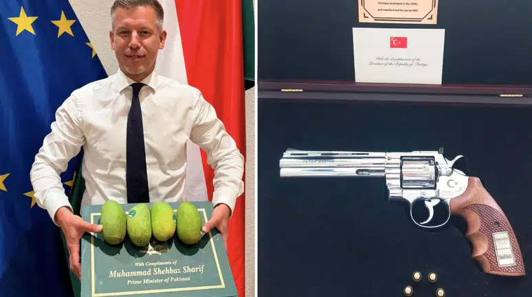 Magyar'dan Erdoğan'ın hediyesine dikkat çeken gönderme