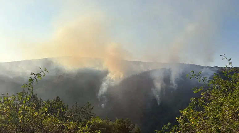 Kastamonu'da orman yangını kontrol altına alındı