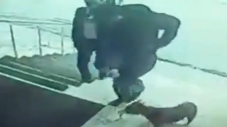 Köpeğe tekme attığı iddia edilen kaymakam hakkında soruşturma başlatıldı