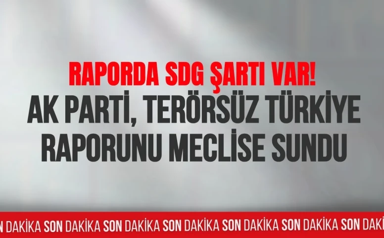 AK Parti, Terörsüz Türkiye raporunu TBMM'ye sundu! Raporda SDG şartı var
