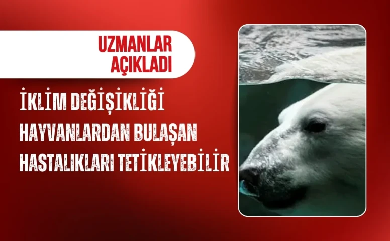 Küresel ısınma hayvanlardan bulaşan hastalıkları tetikleyebilir
