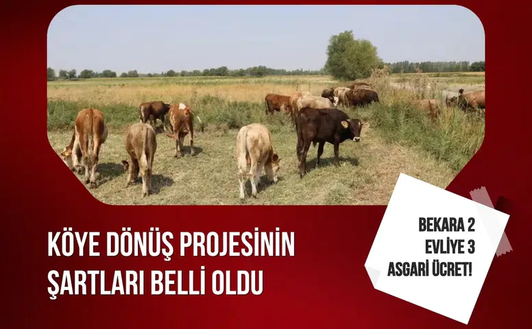 Köye dönüş projesinde destek şartları netleşti, evli ve bekara farklı ödeme modeli