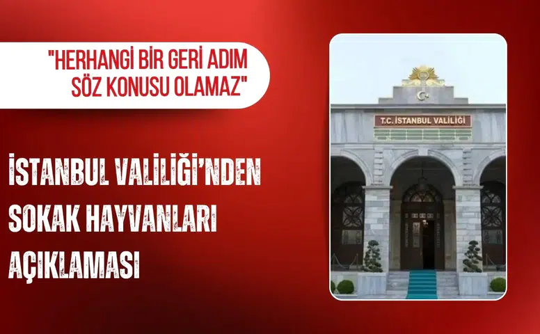 İstanbul Valiliği’nden sokak hayvanları açıklaması: "Herhangi bir geri adım söz konusu olamaz"