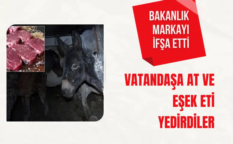 Bakanlık markayı açıkça ifşa etti: Vatandaşa at ve eşek eti yedirdiler