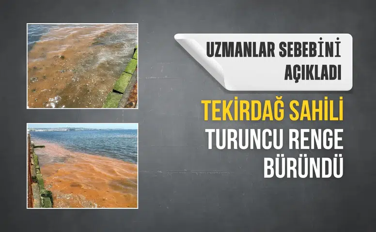 Tekirdağ Sahili turuncu renge büründü: Uzmanlar sebebini açıkladı
