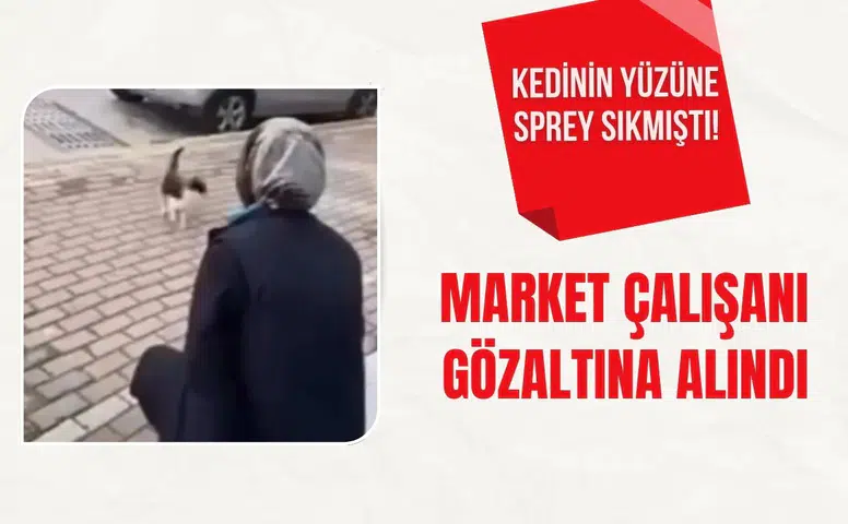 Kedinin yüzüne sprey sıkmıştı: O market çalışanı gözaltına alındı