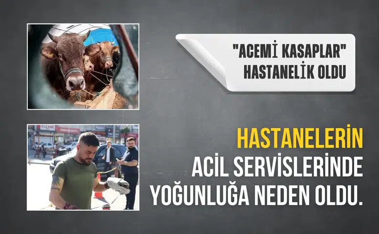 "Acemi kasaplar" hastanelik oldu