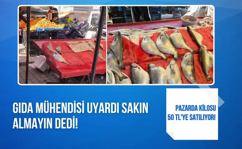 Pazarda kilosu 50 TL’ye satılan karpuz dikkat çekti uzmanlar uyardı