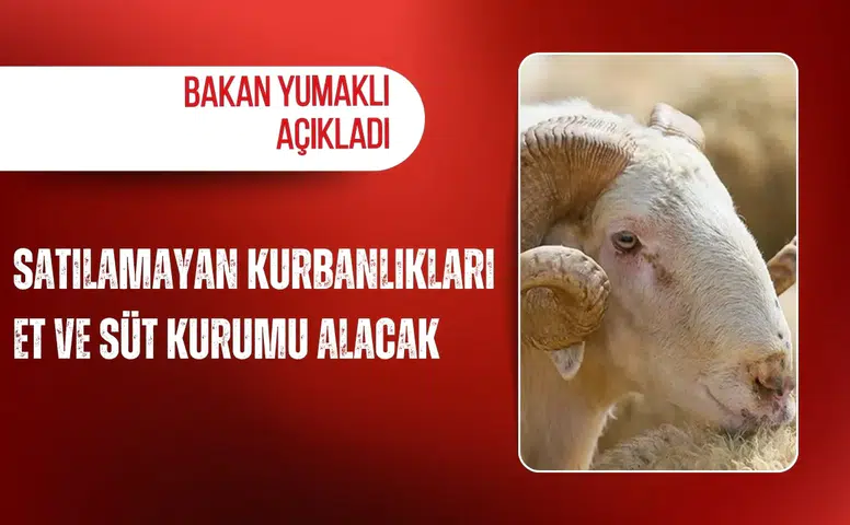 Bakan Yumaklı açıkladı: Satılamayan kurbanlıkları Et ve Süt Kurumu alacak