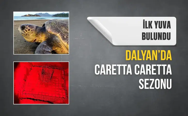 Dalyan’da caretta caretta sezonu: İlk yuva bulundu