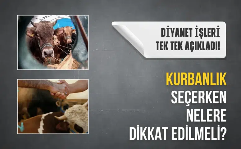 Kurbanlık seçerken nelere dikkat edilmeli? Diyanet İşleri Başkanlığı tek tek açıkladı