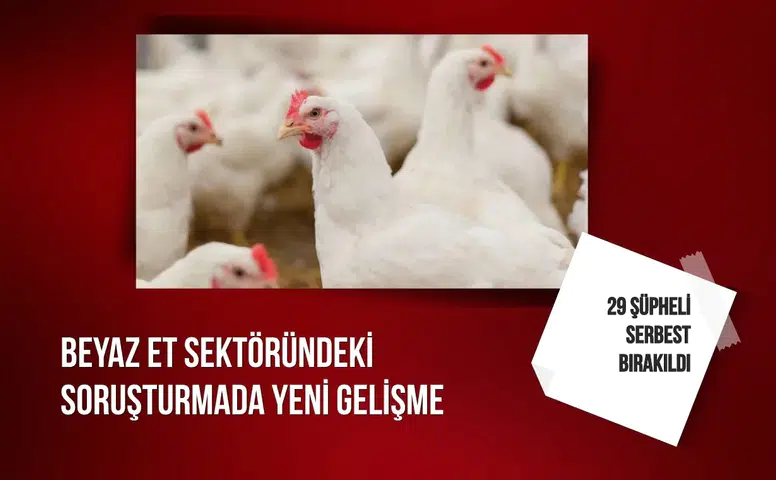 Beyaz et sektöründeki soruşturmada yeni gelişme: 29 şüpheli serbest bırakıldı