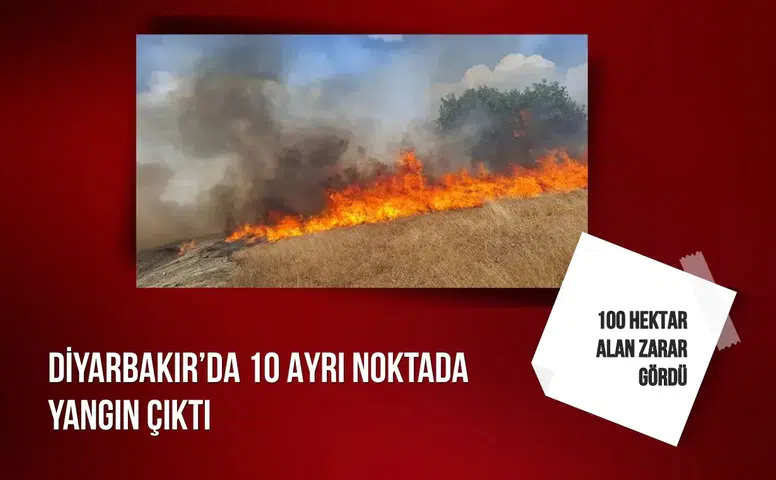 Diyarbakır’da 10 ayrı noktada yangın çıktı: 100 Hektar Alan Zarar Gördü