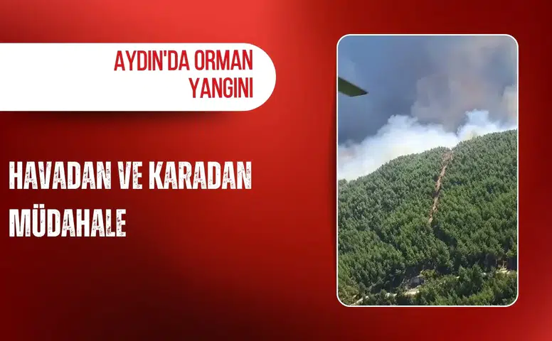 Aydın'da orman yangını: Havadan ve karadan müdahale