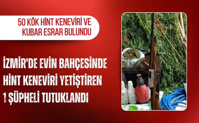 İzmir'de evin bahçesinde Hint keneviri yetiştiren 1 şüpheli tutuklandı