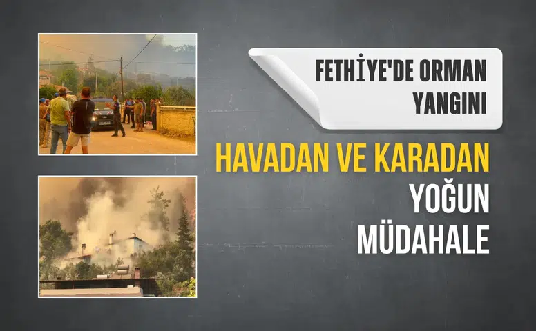 Fethiye'de orman yangını: Havadan ve karadan yoğun müdahale