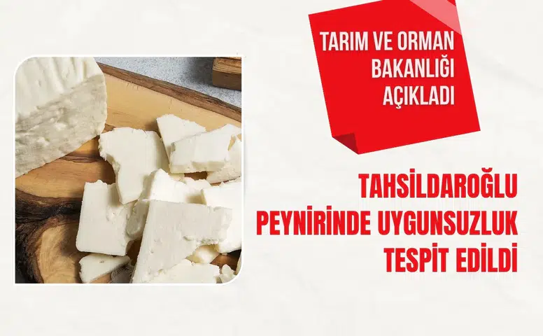 Tarım ve Orman Bakanlığı açıkladı: Tahsildaroğlu peynirinde uygunsuzluk tespit edildi