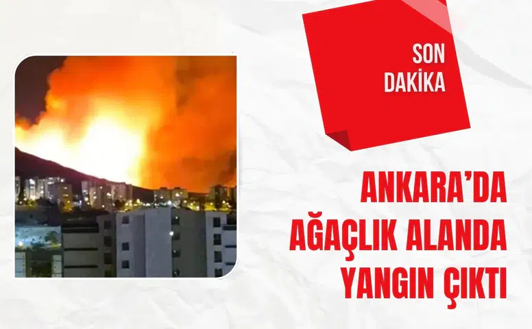 Son dakika: Ankara’da ağaçlık alanda yangın çıktı