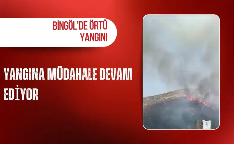 Bingöl’de örtü yangını: Yangına müdahale devam ediyor