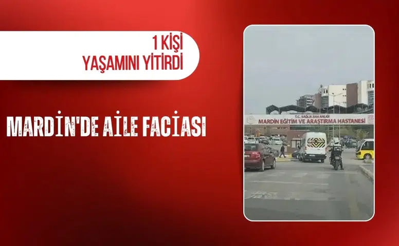 Mardin'de aile faciası: 1 kişi yaşamını yitirdi