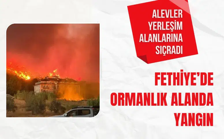 Fethiye’de ormanlık alanda yangın: Alevler yerleşim alanlarına sıçradı