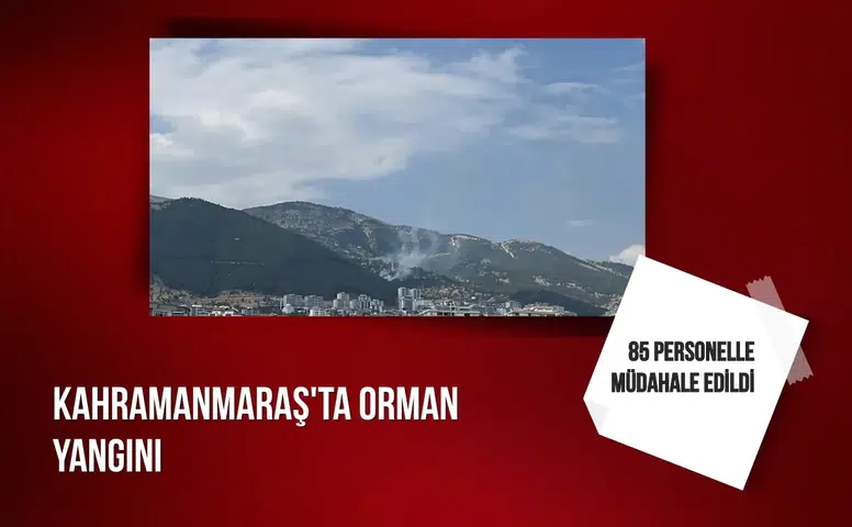 Kahramanmaraş'ta orman yangını: 85 personelle müdahale edildi