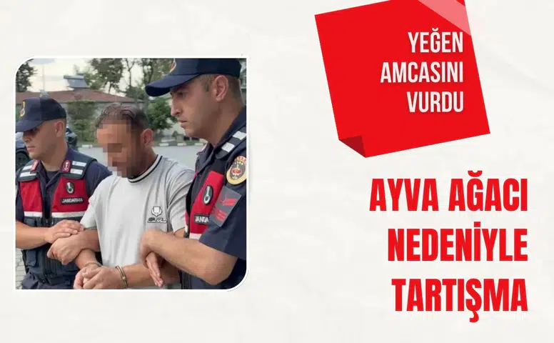 Ayva ağacı nedeniyle tartışma: Yeğen amcasını vurdu